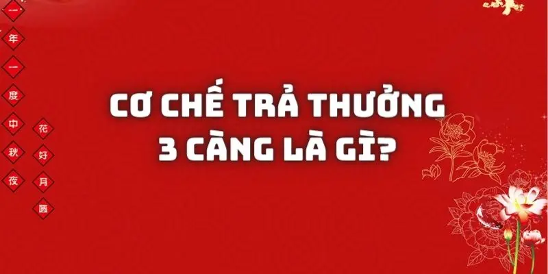 co-che-tra-thuong-3-cang-la-gi